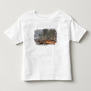 T-shirt EUA, Washington, Parque Nacional Olímpico, Rialto