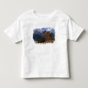 T-shirt EUA, Wyoming, Grand Teton NP. Um cedro solitário