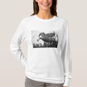 T-shirt Europa, Áustria, Salzburgo. Estátua de cavalo alad
