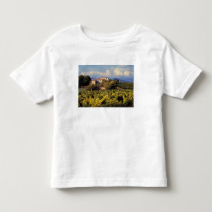 T-shirt Europa, França, Bonnieux. Vinhas cobrem o