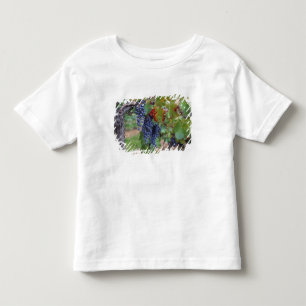 T-shirt Europa, França, Roussillon. Vinhas, com