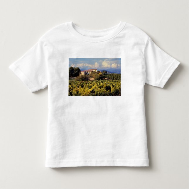 T-shirt Europa, France, Bonnieux. Os vinhedos cobrem (Frente)