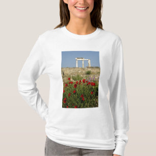 T-shirt Europa, Grécia, Cíclades, Delos. Ruínas de coluna.