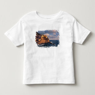 T-shirt Europa, Itália, Manarola. As casas aninhadas na fa