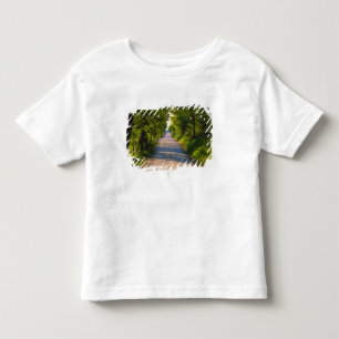 T-shirt Europa, Itália, Toscana, estrada arborizada