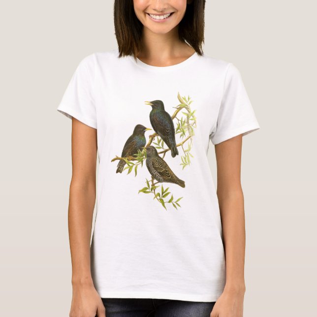 T-shirt Europeu Starling (Frente)