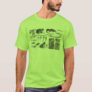 T-shirt Evolução anfíbia