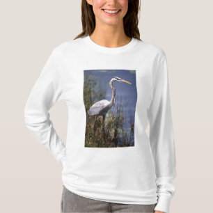 T-shirt Excelente Blue Heron water bird