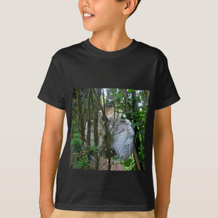 T-shirt Falcão de Cauda Vermelha Imaturo Coordenando Itens
