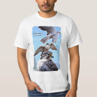 T-shirt Falcoaria