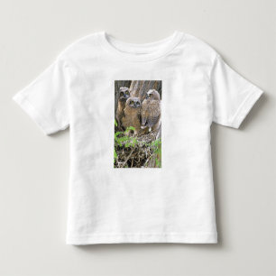 T-shirt Família de filhotes de coruja-real (Bubo virginian
