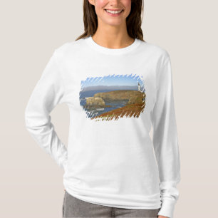T-shirt Farol de Cabeça de Yaquina em Newport Oregon
