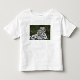 T-shirt Fase branca, Tigre de Bengala, Tigre
