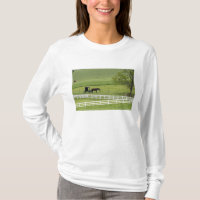 Fazenda Amish com cavalo e carruagem perto de Berl