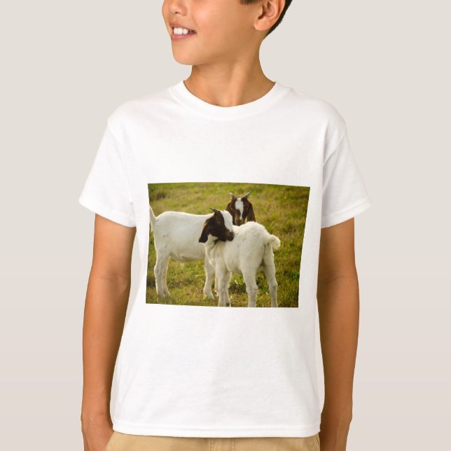 T-shirt Fazenda de Cabritos Animais no Pasto (Frente)