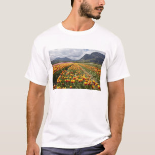 T-shirt Fazenda de Tulipas perto de Agassiz, Colúmbia Brit