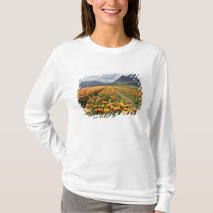 T-shirt Fazenda de Tulipas perto de Agassiz, Colúmbia Brit