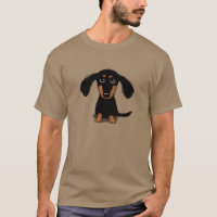 Filhote de Dachshund de Cabelo Longo