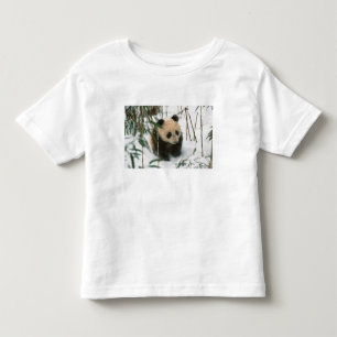 T-shirt Filhote de panda na neve, Wolong, Sichuan, China