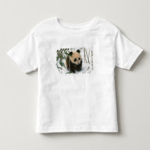 T-shirt Filhote de panda na neve, Wolong, Sichuan, China