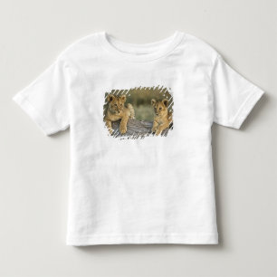 T-shirt Filhotes de leão no registro, Panthera leo, Masai