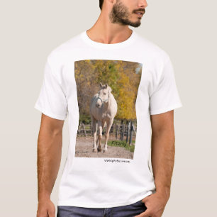 T-shirt Fitzroy - NNEP Ottawa, SOBRE
