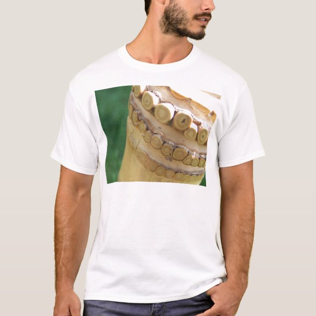 T-shirt Flauta de bambu (Frente)