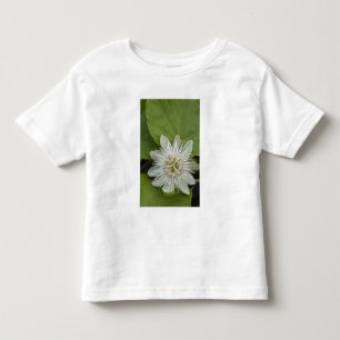 T-shirt Flor de Maracujá dos Galápagos Passiflora foetida
