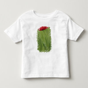 T-shirt Flor de papoula vermelha entre a cultura de trigo,
