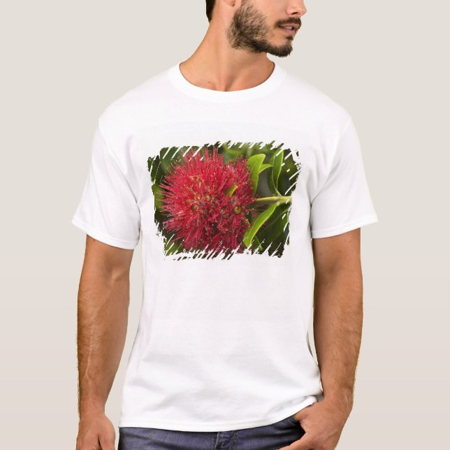T-shirt Flor de Pohutukawa, Dunedin (Frente)