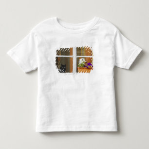 T-shirt Flor pela janela, Sighisoara, Romênia