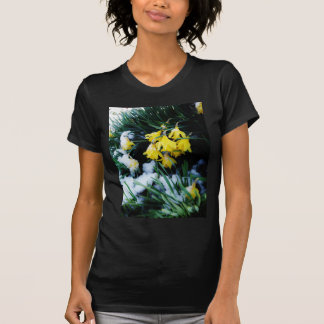 T-shirt Flores amarelas Daffodils na neve