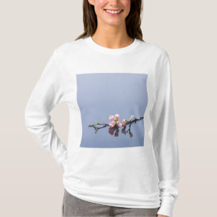 T-shirt Flores de cerejeira na água