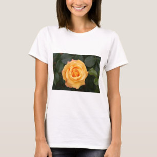 T-shirt flores rosas floram amor esposa namorada casal