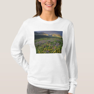 T-shirt Flores silvestres da pradaria preenchem a pradaria