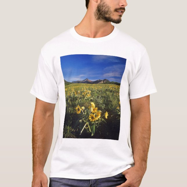 T-shirt Flores silvestres de balsomroot de folha de seta e (Frente)