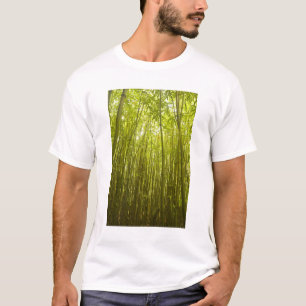T-shirt Floresta de bambu perto da trilha Waikamoi Ridge, 