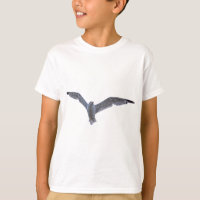 Flying Sea Gull Willife Photo for Birdlovers