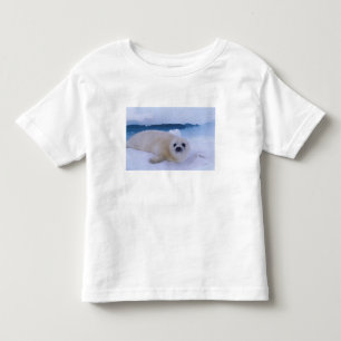 T-shirt Foca-da-Groenlândia América do Norte, Canadá, Queb