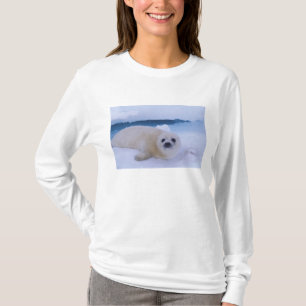 T-shirt Foca-da-groenlândia América do Norte, Canadá, Queb