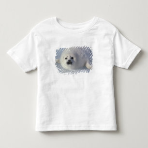 T-shirt Foca da Groenlândia (Phoca groenlandica) Uma cria 