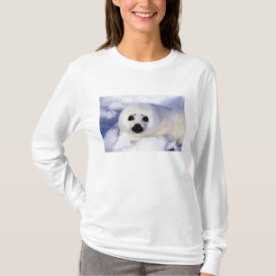 T-shirt Foca harpa filhote gelo Golfo de São Lourenço,