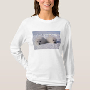T-shirt Focas de Harp (Phoca groenlandica)