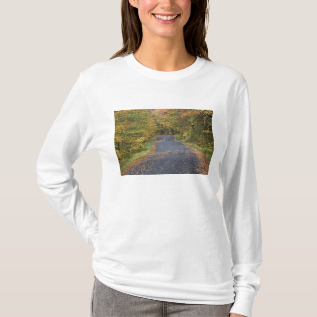 T-shirt Folhagem de estrada, Southern Vermont, EUA (Frente)