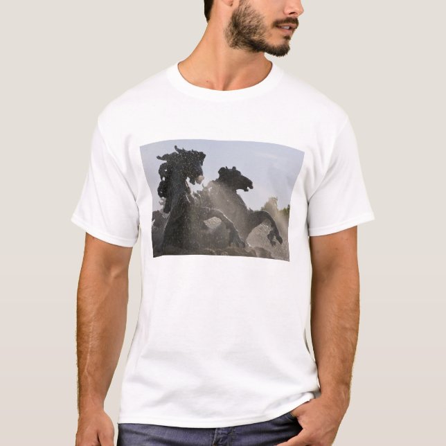 T-shirt Fonte, Monumento dos Girondinos, Bordéus, (Frente)