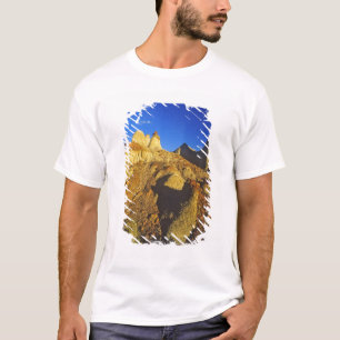 T-shirt Formações de Badlands no Parque Provincial dos Din