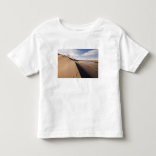 T-shirt Formações de dunas de areia. Parque Estadual das D