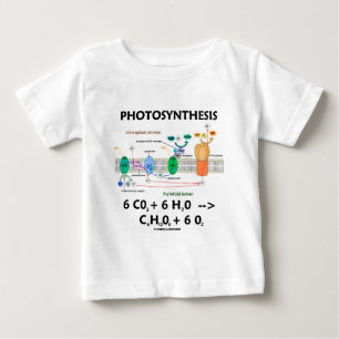 T-shirt Fórmula da fotossíntese (produto químico)