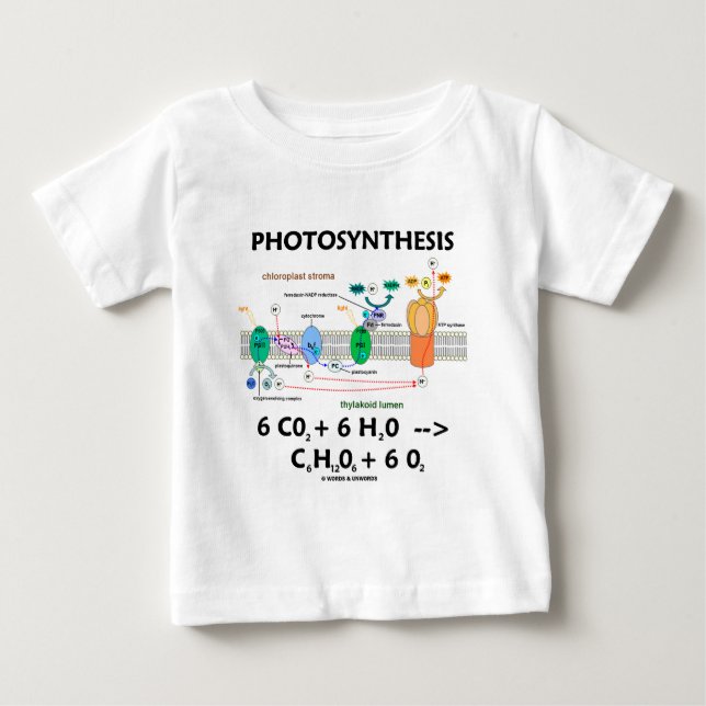 T-shirt Fórmula da fotossíntese (produto químico) (Frente)