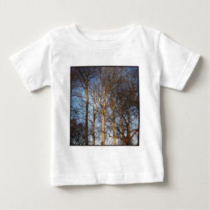 T-shirt Foto Quadrada - Árvores de Inverno Sunlit